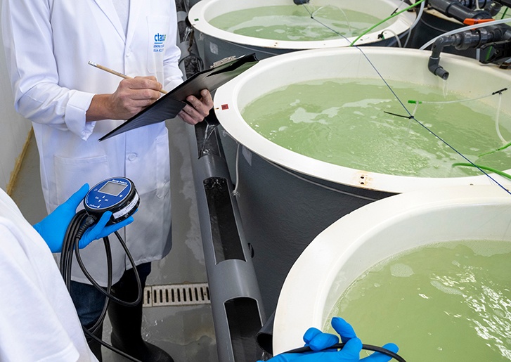 CTAQUA - Experimental