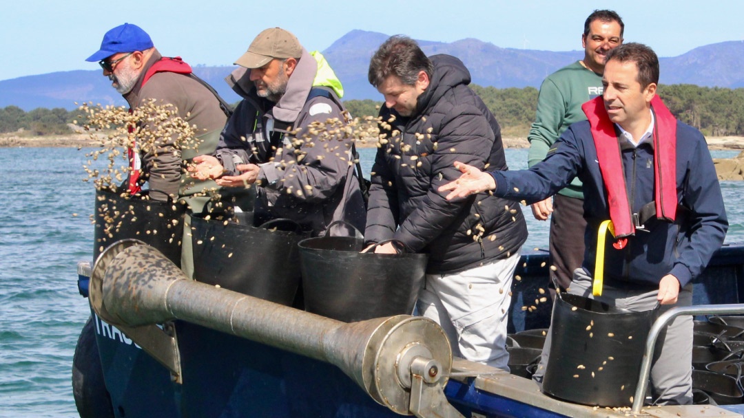 Xunta de Galicia - Siembra banco marisqueo Xunta de Galicia - Siembra banco marisqueo