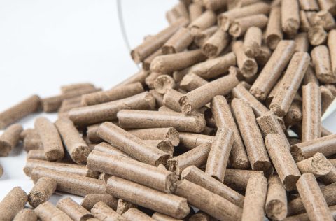 Ynsect pellet insectos
