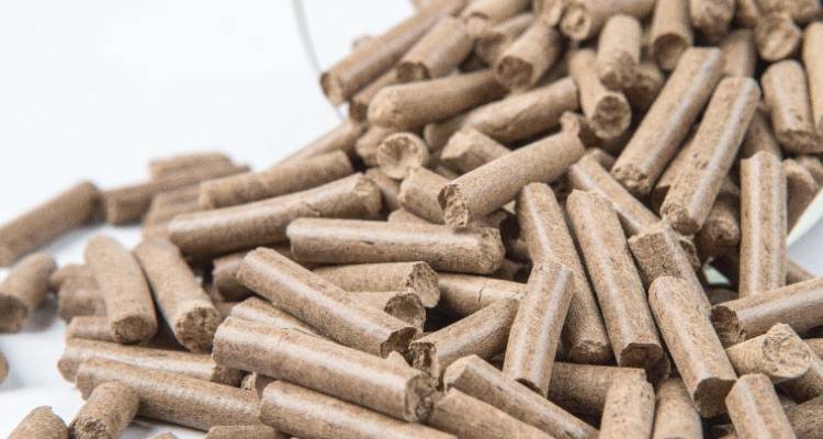 Ynsect pellet insectos Ynsect pellet insectos