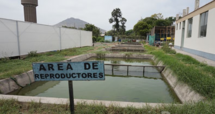 Zona Reproductores - Universidad Nacional Agraria La Molina - Perú