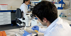 laboratorios