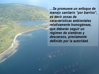 alvial-reportaje