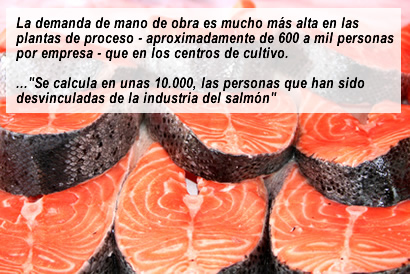 alvial-reportaje3