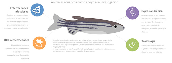 aplicaciones-acuicultura-biotecnologia