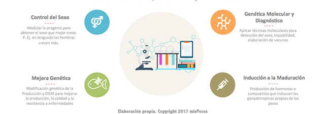 aplicaciones-biotecnologia-acuicultura