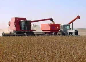 cosechando_soja_argentina cosechando_soja_argentina