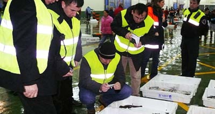 delegacion-turca-lonja