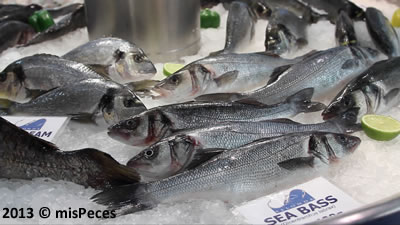 dorada_lubina_selonda dorada_lubina_selonda
