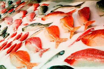 expositor_pescado
