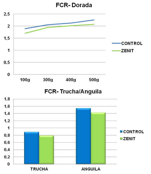 grafica-fcr-dorada-trucha-anguila
