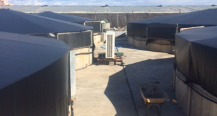 instalaciones-andalmar-carchuna