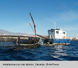 instalaciones-mar-abierto