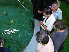 investigadores_estanque_merluza_europea investigadores_estanque_merluza_europea