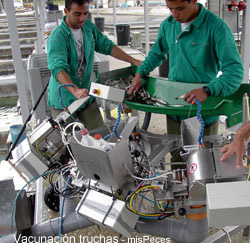 ipeasa_vacunacion ipeasa_vacunacion