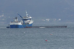 jaulas_salmon_muros_remolque jaulas_salmon_muros_remolque