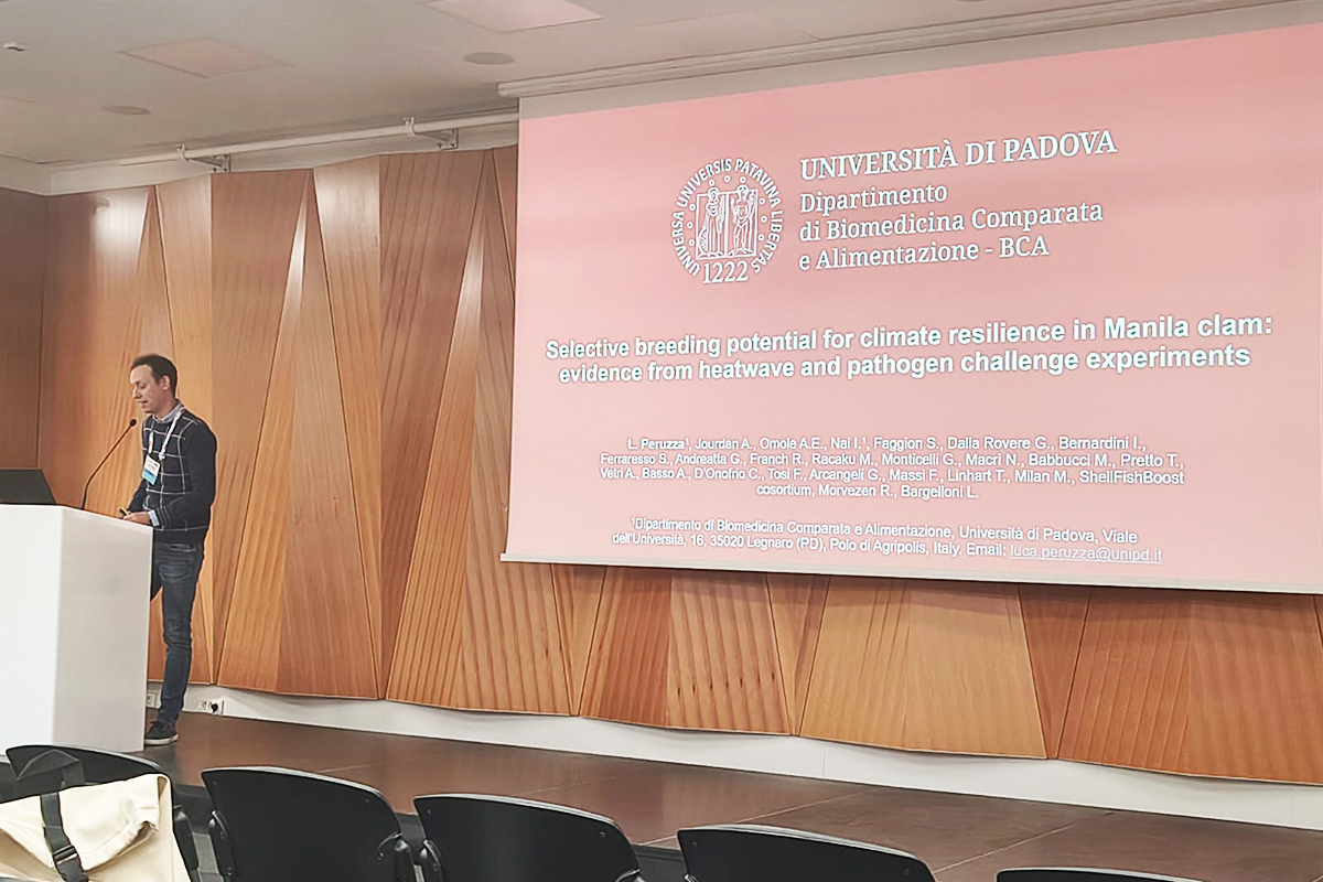 Luca Peruzza | Università di Padova
