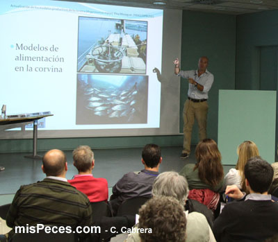 mesa_corvina_eloy_meseguer mesa_corvina_eloy_meseguer