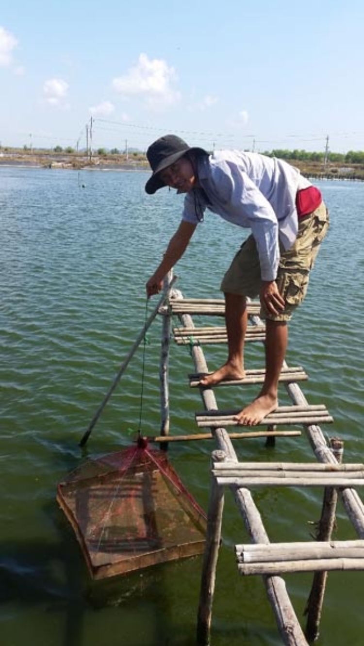 Sistema de Control del Cultivo de Langostinos en Asia