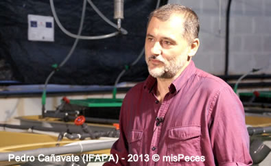 pedro-canavate-ifapa
