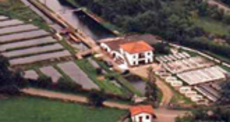 piscifactoria-alba-vista-aerea_indx
