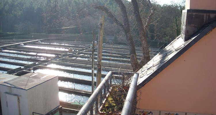 piscifactoria-truchas-galicia-casa-piscinas piscifactoria-truchas-galicia-casa-piscinas