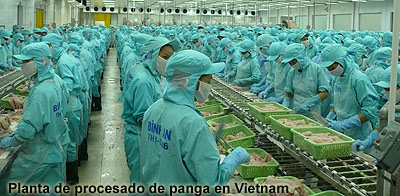 planta-procesado-panga-vietnam