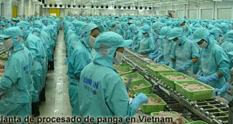 planta-procesado-panga-vietnam