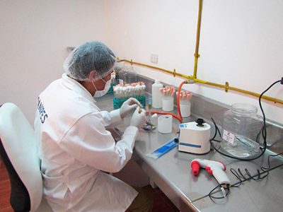 DG SANTE volverá a evaluar los moluscos bivalvos peruanos con objeto de permitir las exportaciones a la UE