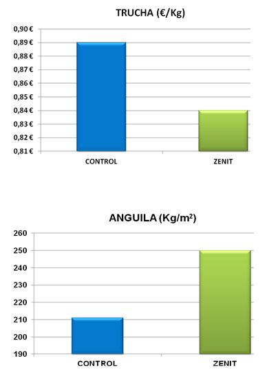 trucha-anguila-kgm2