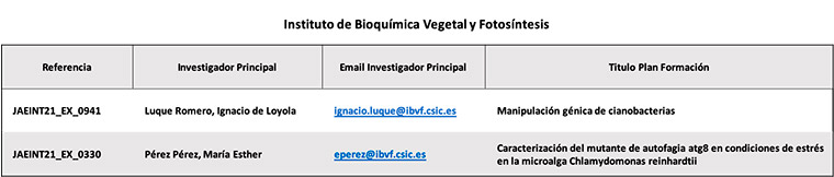 Instituto de Bioquímica Vegetal y Fotosíntesis del CSIC 