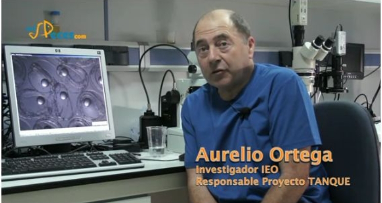aurelio-ortega
