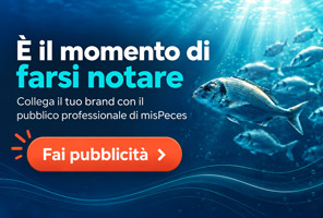 Momento di farsi notare