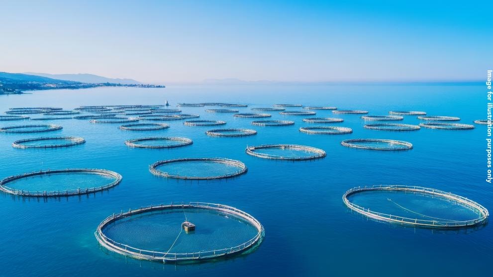 Aquaculture 2024 01 03 ROME pic with disclaimer