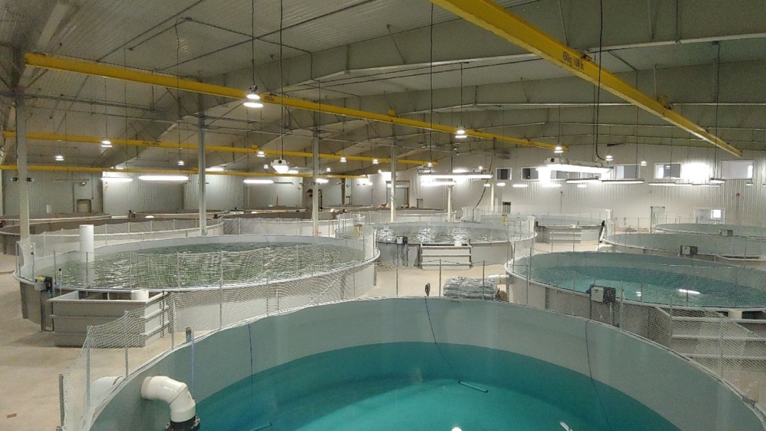 Instalaciones de AquaBounty en Canadá Instalaciones de AquaBounty en Canadá