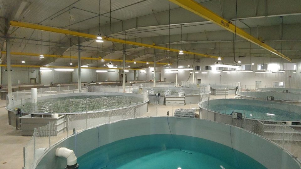 Instalaciones de AquaBounty en Canadá