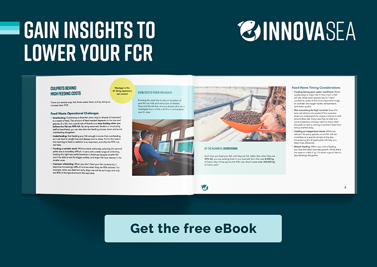 INNOVASEA - Horizontal eBook Mockup
