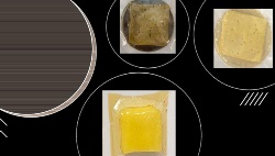 Subproductos de crustáceos y algas prometen revolucionar la industria de los envases para uso alimentario