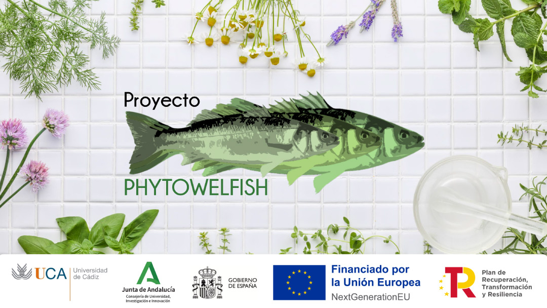 Investigadores de la UCA lideran el Proyecto PHYTOWELFISH para mejorar ...