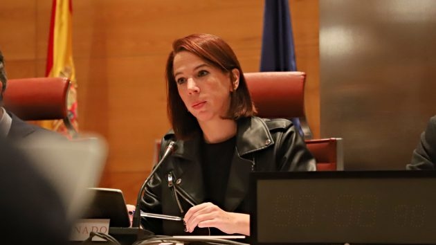 Paula Somalo, Ponente PSOE