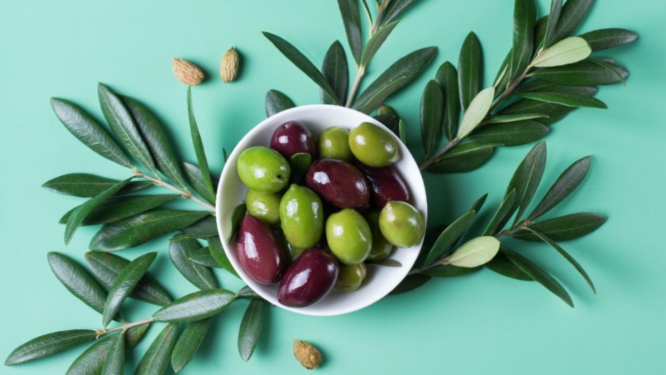 aceitunas y hojas olivo