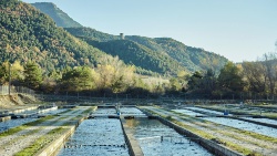 FEAP consider a “critical omission” the complete absence of freshwater aquaculture from the European Ocean Pact
