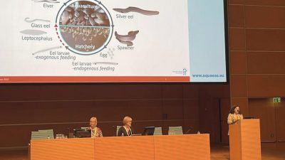 IU-ECOAQUA hace balance de los estudios presentados durante Aquaculture Europe 2022