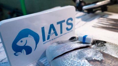 Dispositivo AEFishBIT | IATS-CSIC