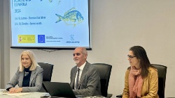 Nuevas Guías para el Bienestar de la lubina y la dorada buscan impulsar la acuicultura sostenible en España