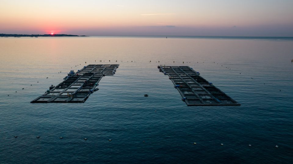 Aquafrais Cannes