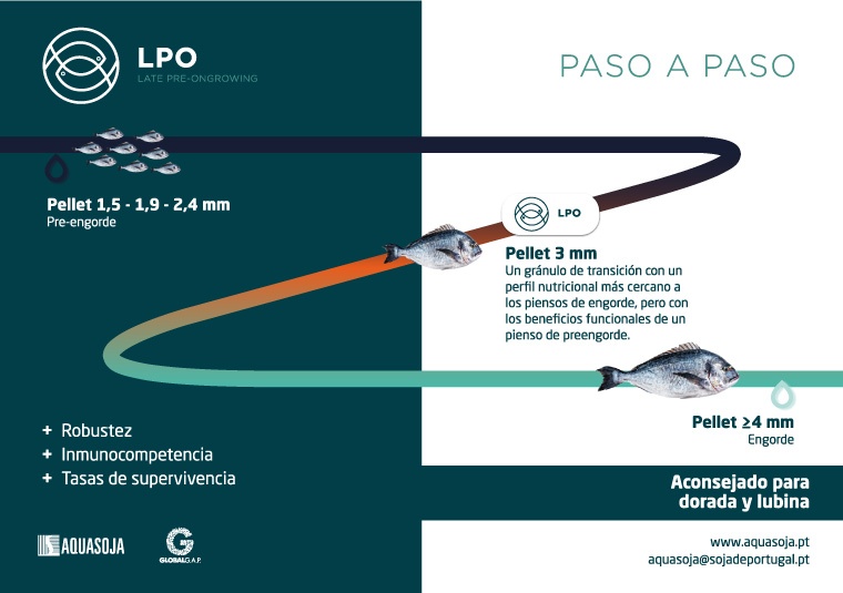 AQUASOJA LPO 185X130mm AQUASOJA LPO 185X130mm