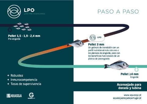AQUASOJA LPO 185X130mm