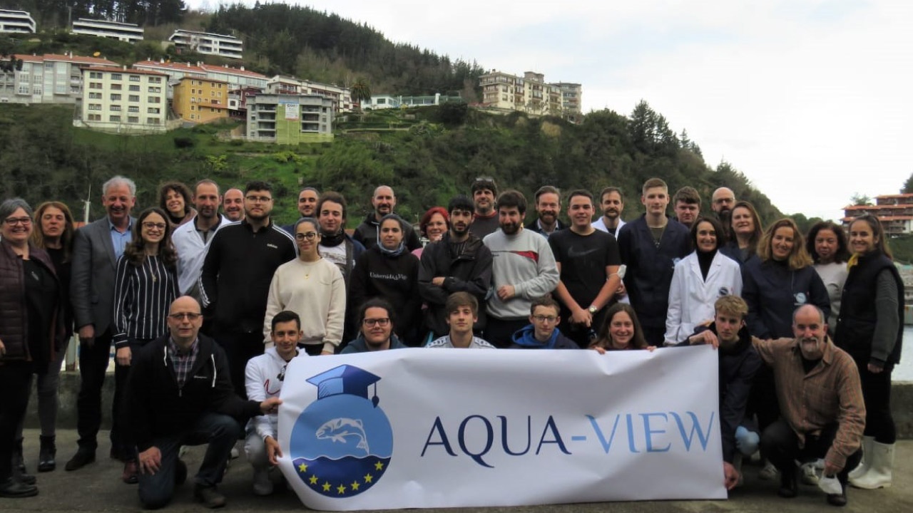 Aqua View, foto grupo Aqua View, foto grupo