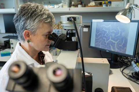 Ariadna Sitjà, investigadora IATS-CSIC